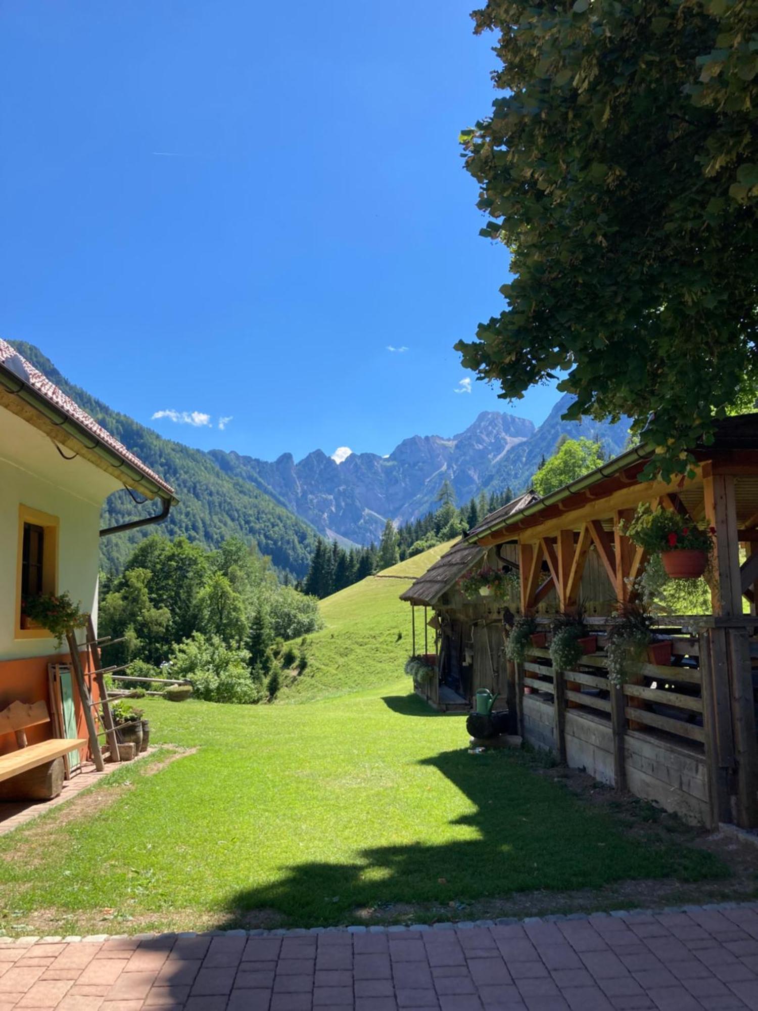 Ferienwohnung Tourist Farm Gradišnik Solčava Exterior foto
