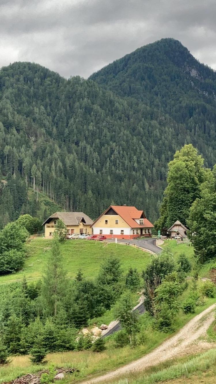 Ferienwohnung Tourist Farm Gradišnik Solčava Exterior foto