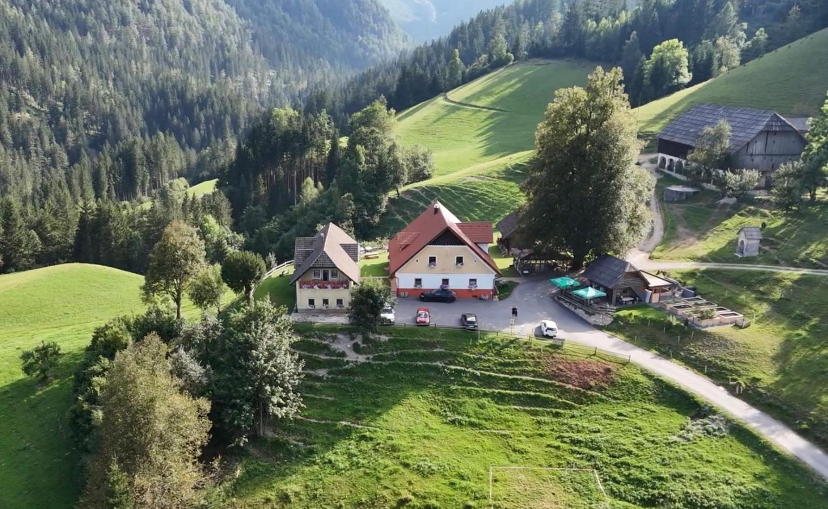 Ferienwohnung Tourist Farm Gradišnik Solčava Exterior foto
