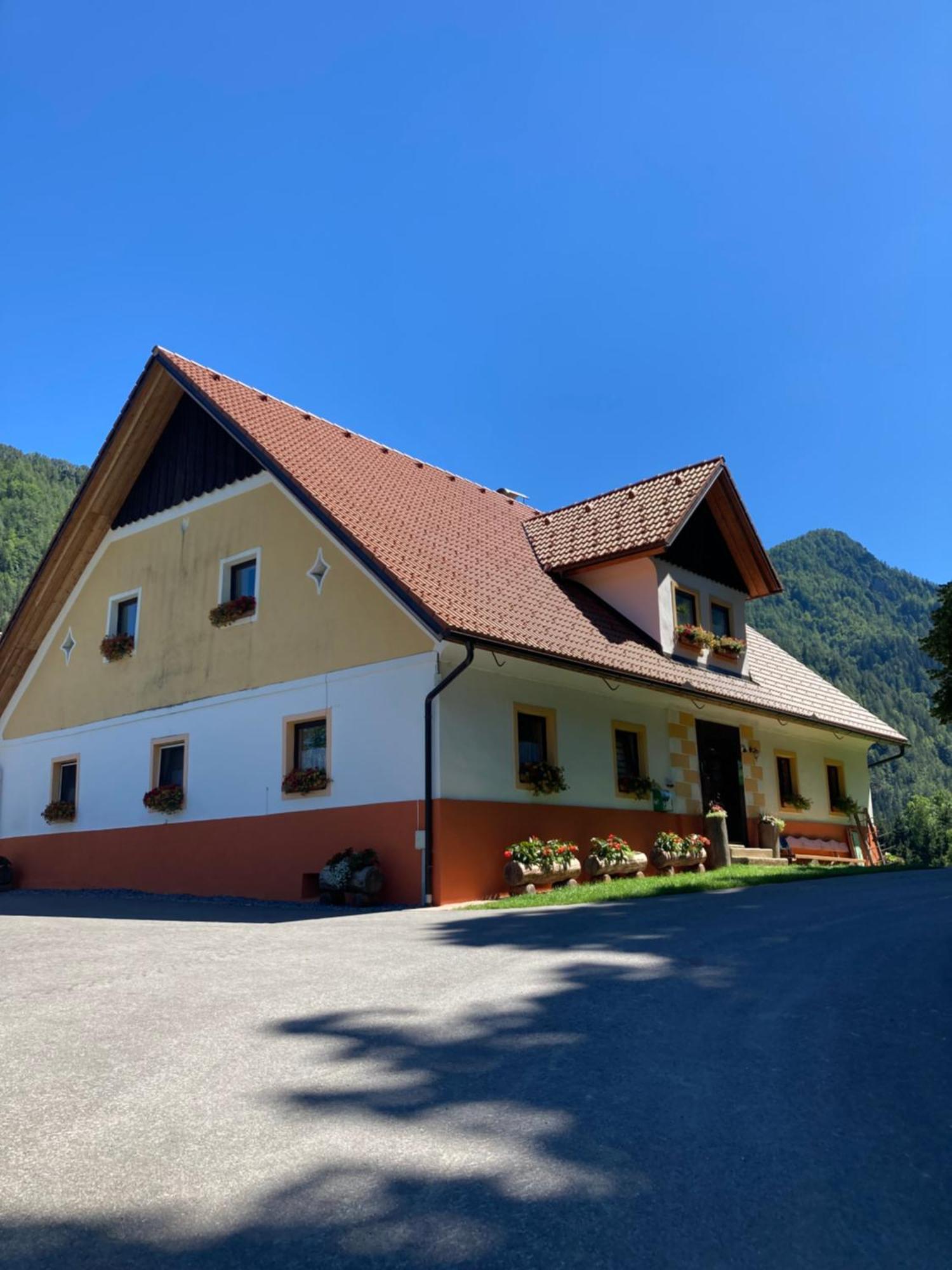 Ferienwohnung Tourist Farm Gradišnik Solčava Exterior foto