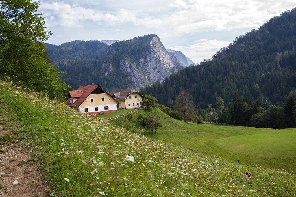 Ferienwohnung Tourist Farm Gradišnik Solčava Exterior foto