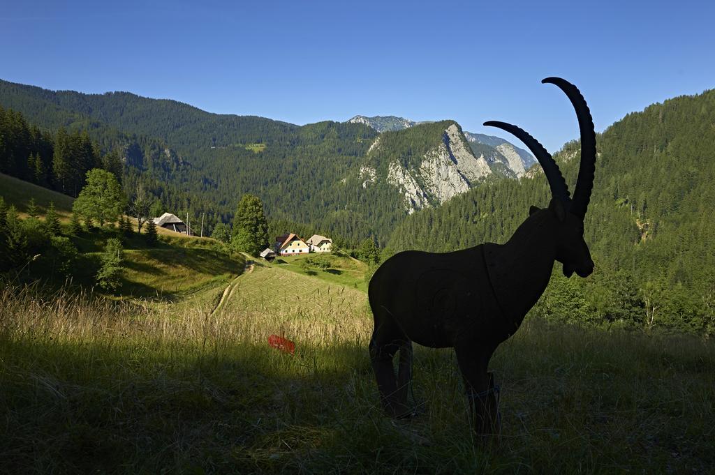 Ferienwohnung Tourist Farm Gradišnik Solčava Exterior foto